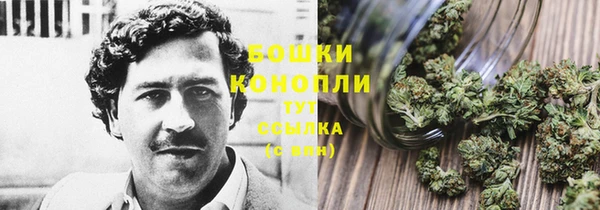 сатива Липки