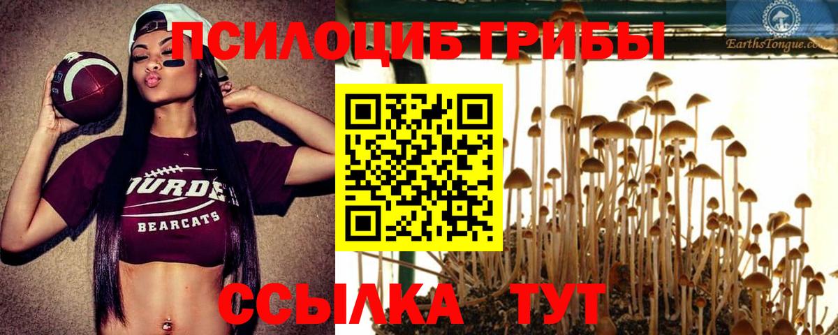 Корсаков  Галлюциногенные грибы прущие грибы  Галлюциногенные грибы MAGIC MUSHROOMS  Вход с VPN 